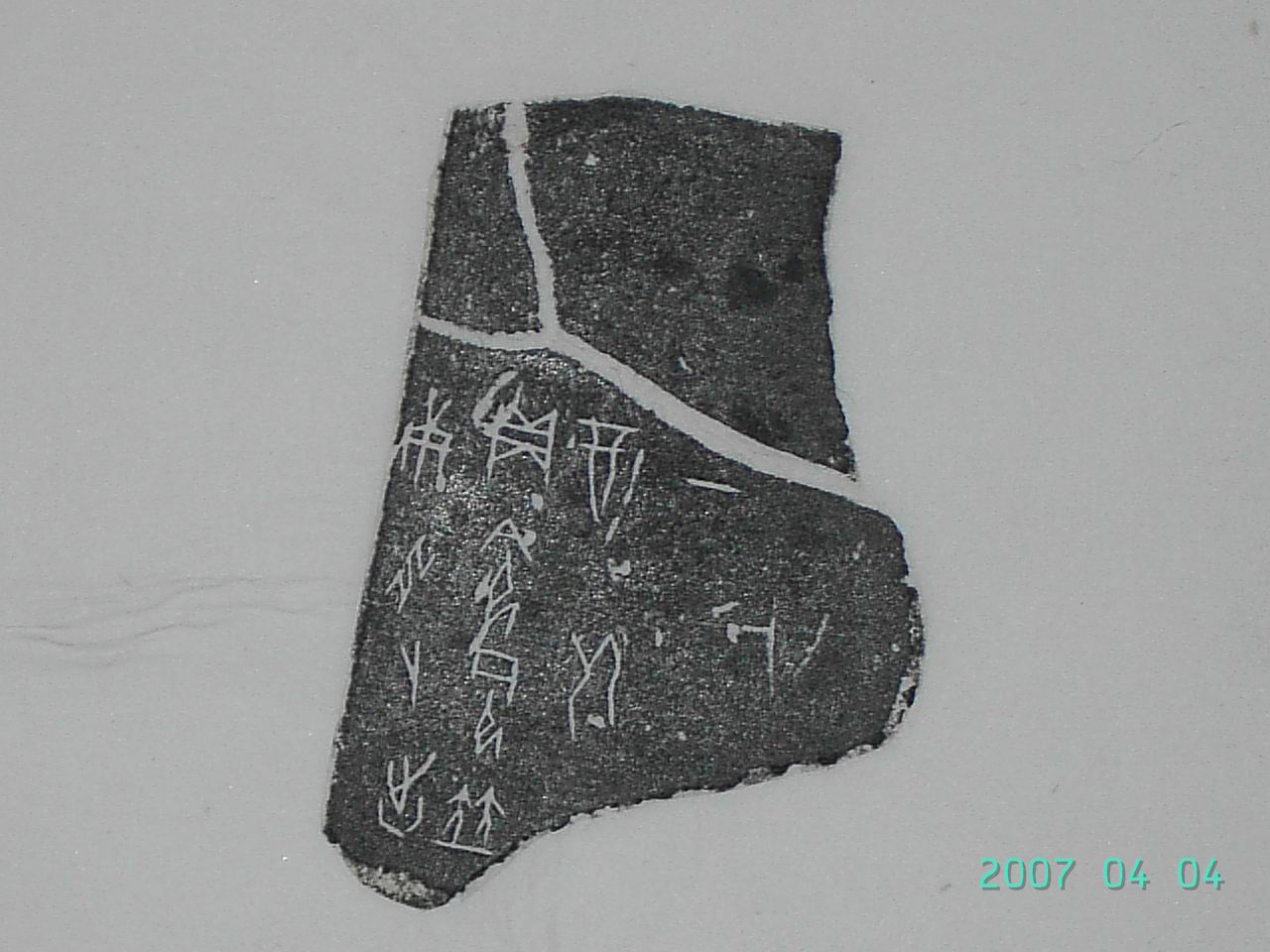 調整大小PICT1816.JPG