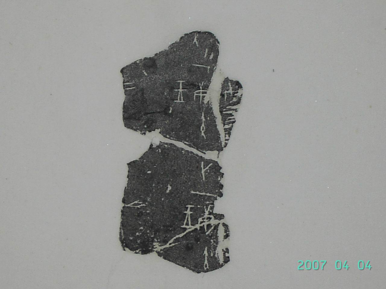 調整大小PICT1830.JPG