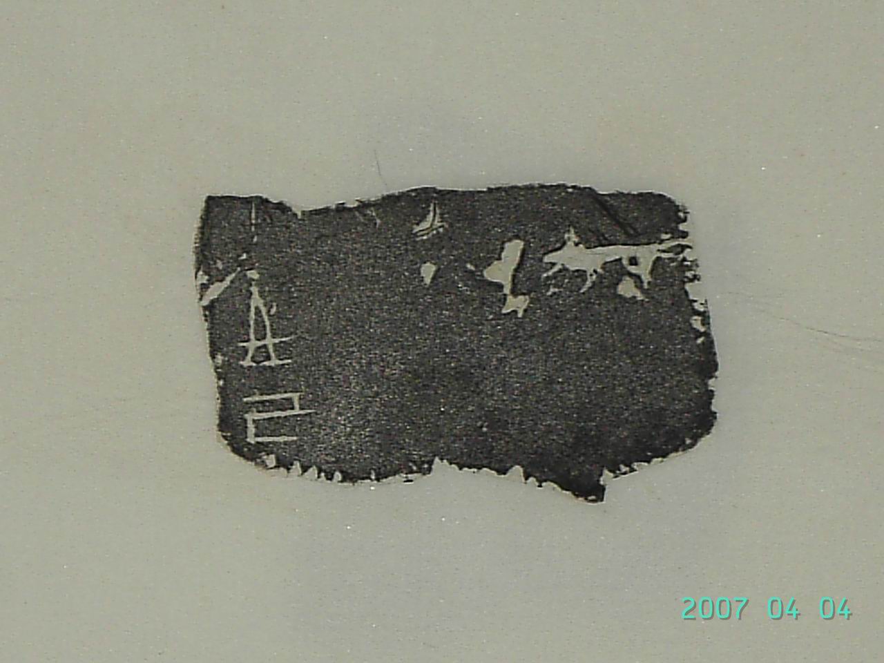 調整大小PICT1839.JPG