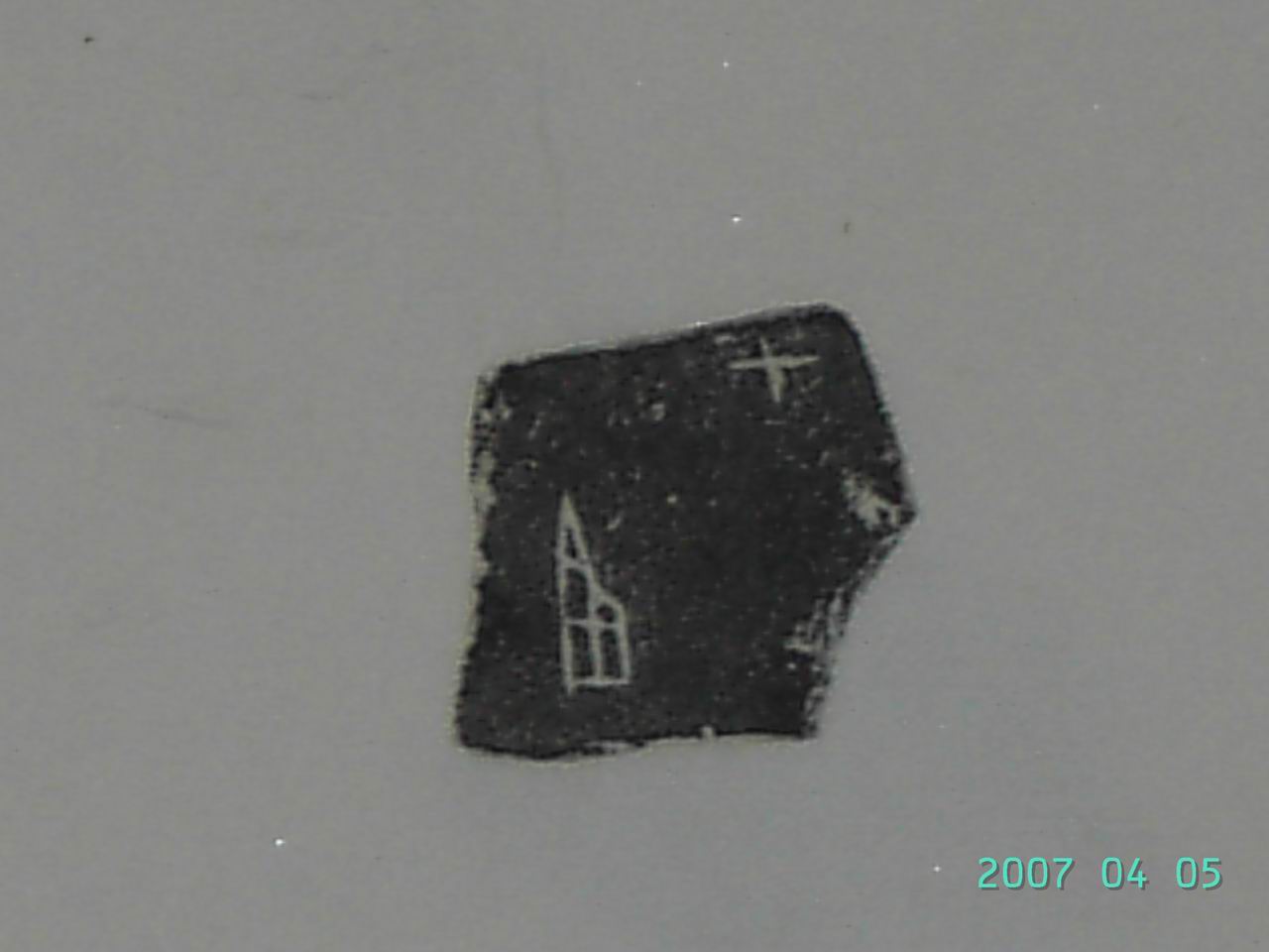 調整大小甲骨文[己] 019.jpg