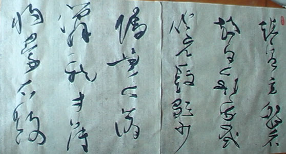 IMGA0357.jpg