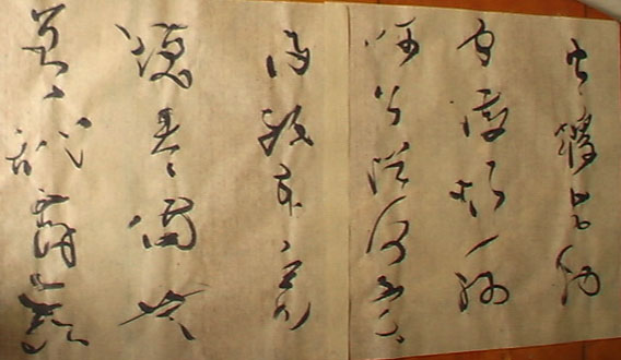 IMGA0361.jpg