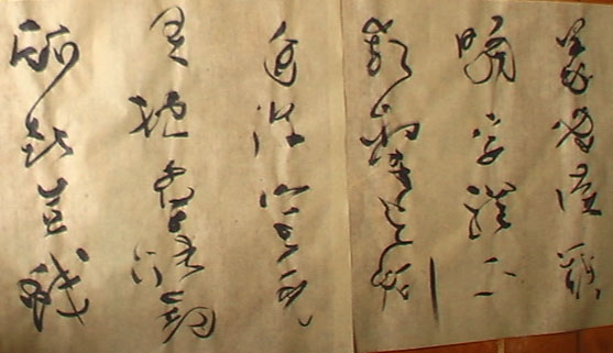 IMGA0362.jpg