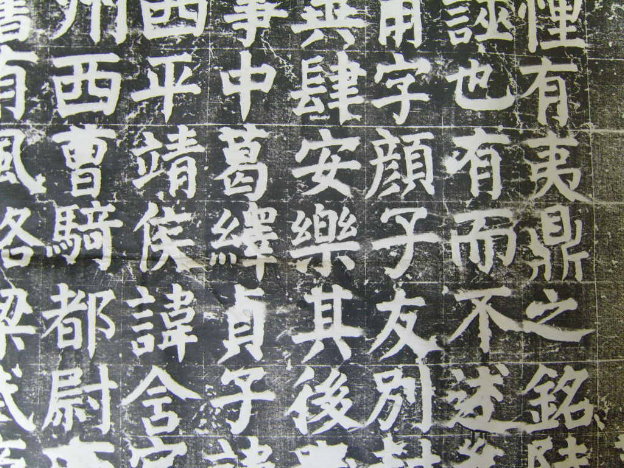 S1030018.JPG