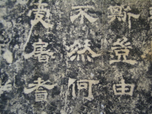 S1030011.JPG