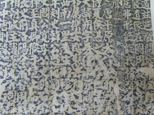 S1030014.JPG