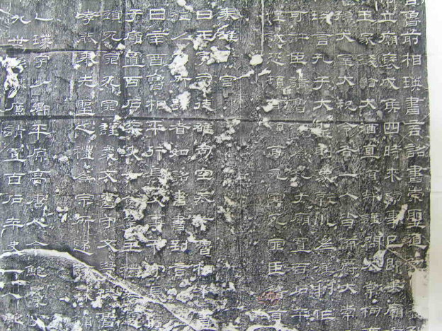 S1030009.JPG