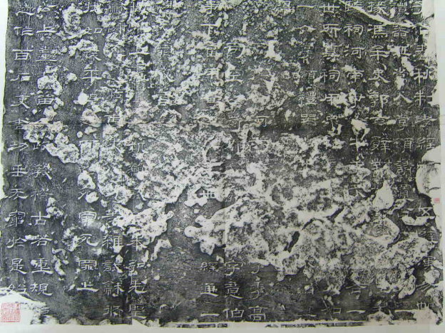 S1030011.JPG