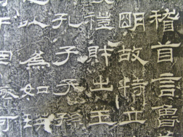 S1030013.JPG