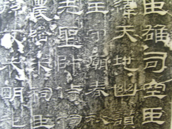 S1030014.JPG