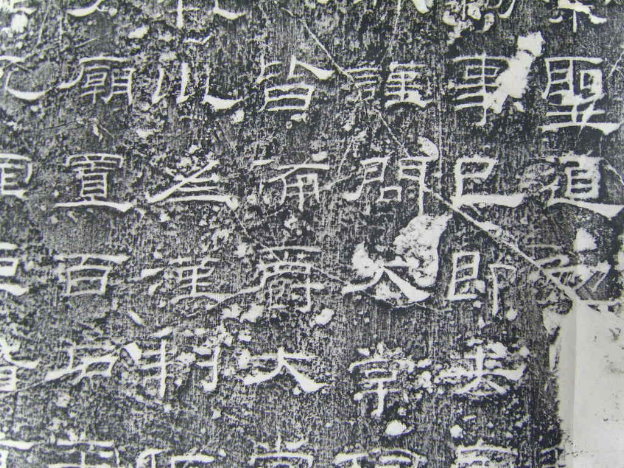 S1030017.JPG