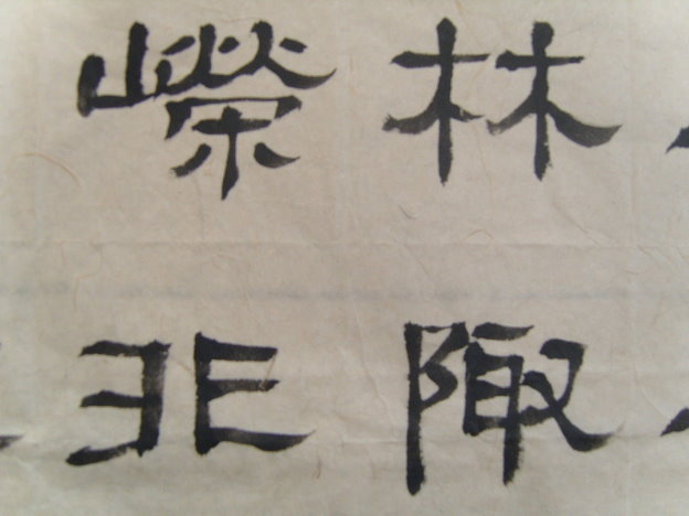 S1030047.JPG