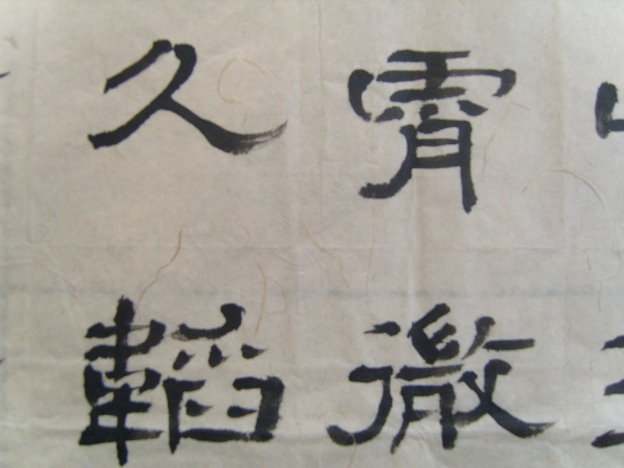 S1030048.JPG