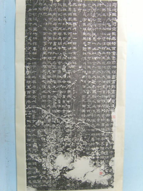 S1030055.JPG