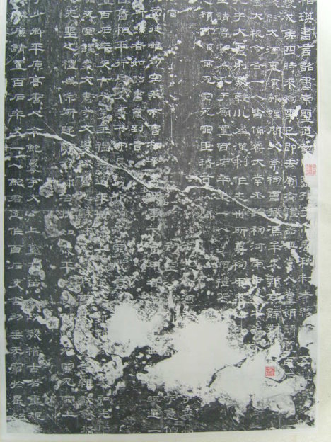 S1030054.JPG