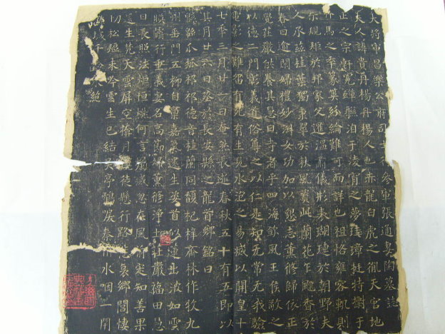 S1030046.JPG