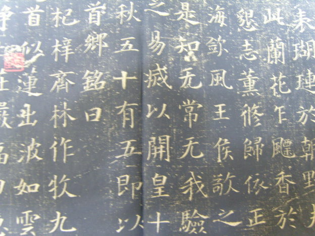 S1030052.JPG
