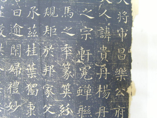 S1030066.JPG