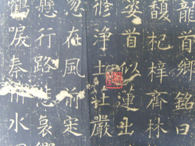 S1030068.JPG