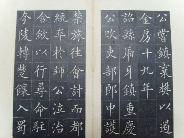 S1030008.JPG