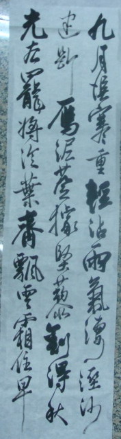 DSC00071.jpg