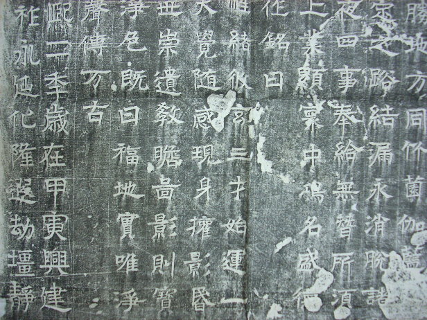 DSCN0050.JPG