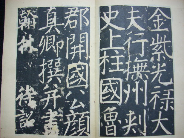 DSCN0220.JPG