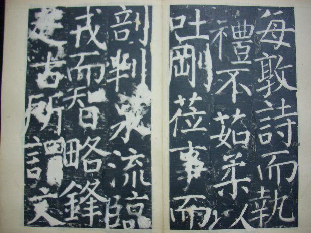 DSCN0228.JPG