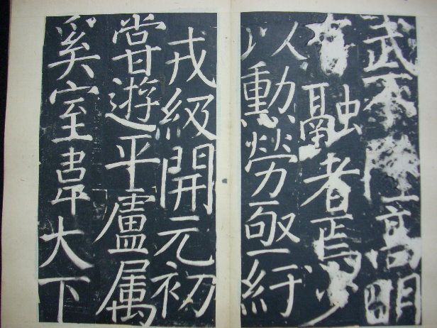 DSCN0229.JPG