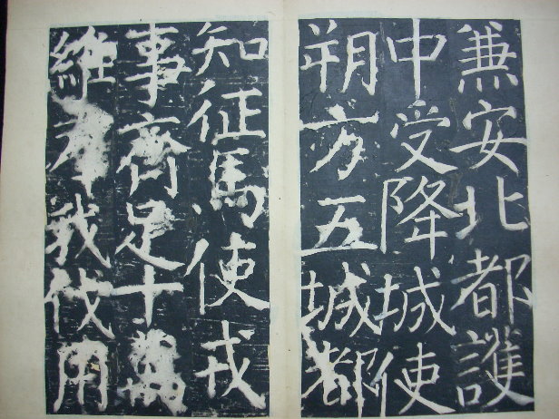 DSCN0232.JPG