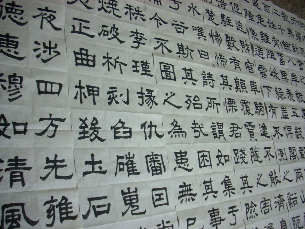 DSCN0335.JPG