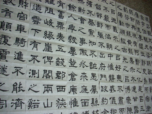 DSCN0337.JPG