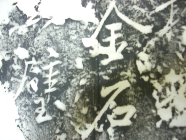 DSCN0766.JPG