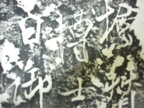 DSCN0767.JPG