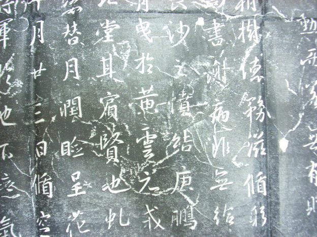 DSCN2646.JPG