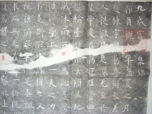 DSCN4390.JPG