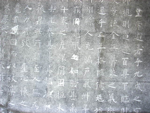 DSCN4395.JPG