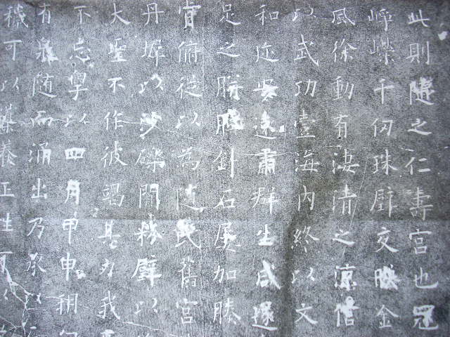 DSCN4397.JPG
