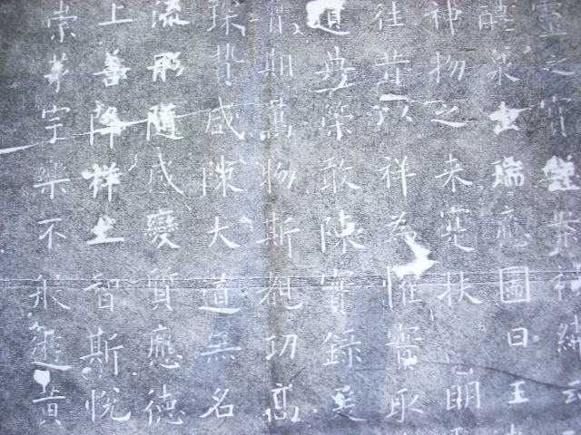 DSCN4403.JPG