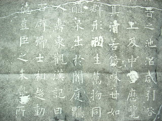 DSCN4405.JPG