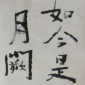 P1200398_crop.jpg