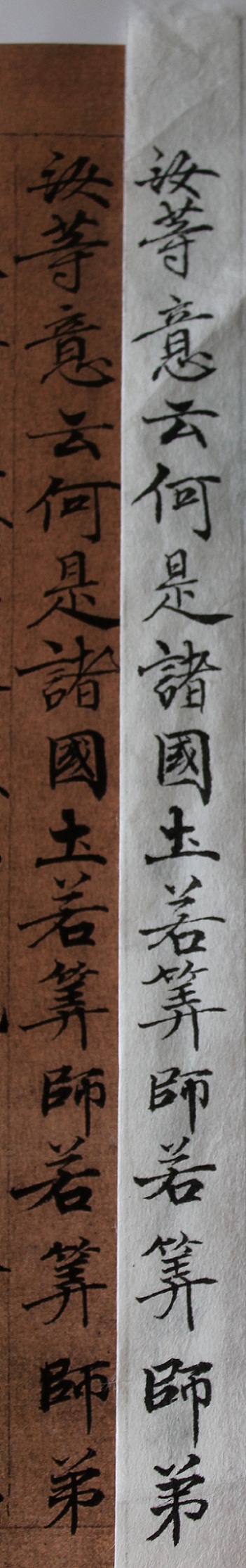 Susage20111121.JPG