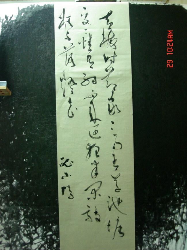 DSC07987 - 複製.JPG