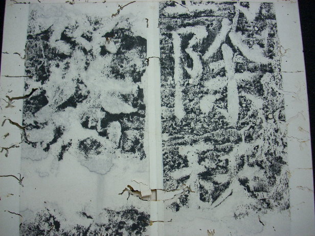 DSCN0446.JPG