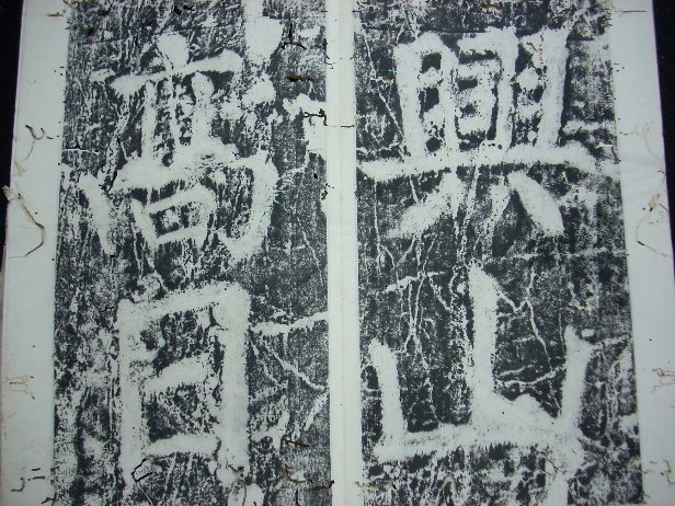 DSCN0480.JPG