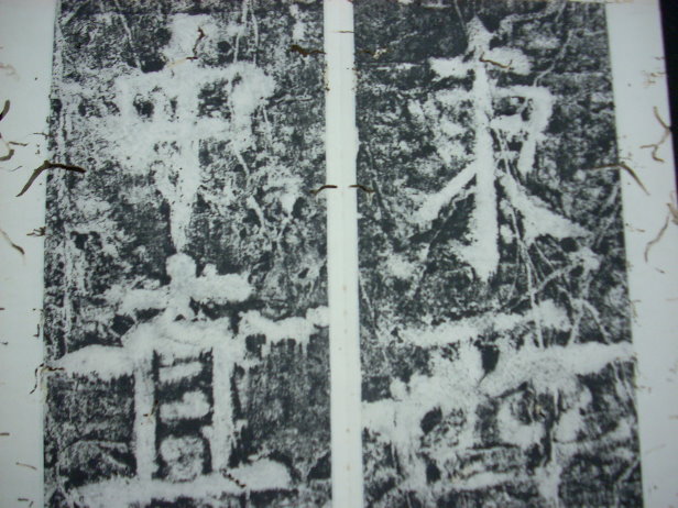 DSCN0487.JPG