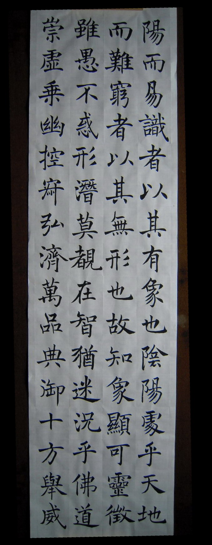 DSCN0154.jpg