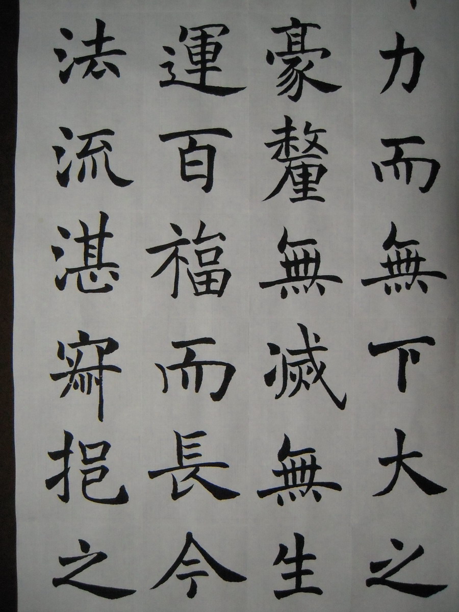DSCN0176.jpg