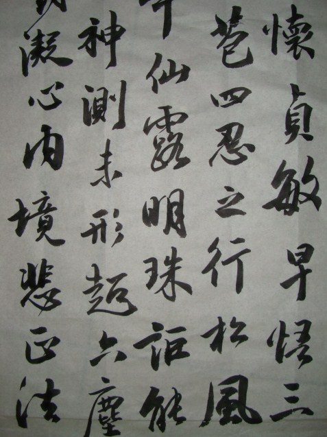 DSC00256.JPG