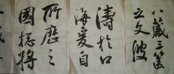 DSC00305.JPG